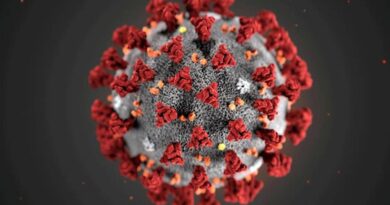 CoronaVirus : राज्यात नव्या रुग्णसंख्येत घट, जाणून घ्या रिकव्हरी रेट